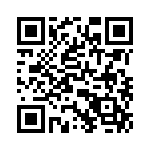 T38535-03-0 QRCode