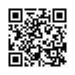 T38535-22-0 QRCode