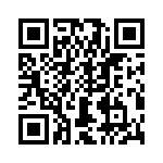 T38538-07-0 QRCode