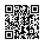 T38540-13-0 QRCode