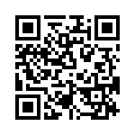 T38543-24-0 QRCode