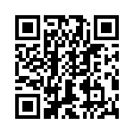 T38562-22-0 QRCode