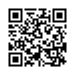 T38565-09-0 QRCode