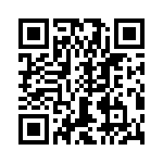 T38565-13-0 QRCode