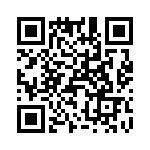 T38567-25-0 QRCode