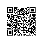 T4171210404-001 QRCode