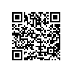 T540D337K004DH87057280 QRCode