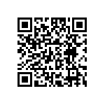 T540D687K2R5DH86057280 QRCode