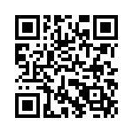 T93YB101KT20 QRCode