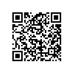 T95D336M025ESSS QRCode