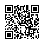 THS4032IDGN QRCode