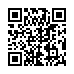 TT11DGPC9T1-4 QRCode