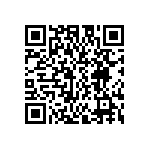 TW-13-06-L-D-437-SM QRCode