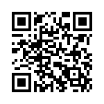 V10P17AUTO QRCode