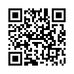 V110A15T300BS QRCode