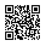 V110A24T300B QRCode