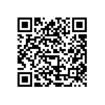 V110A3V3E200BF2 QRCode