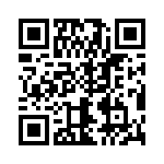 V110B28T150BL QRCode