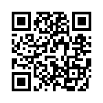 V110C28H100B2 QRCode