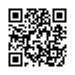 V110C48T100BF3 QRCode