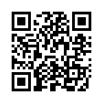 V20E130P QRCode