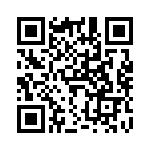 V20H130P QRCode