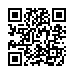 V20H17P QRCode