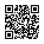 V24C12T100BS QRCode