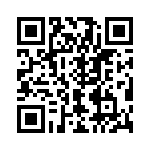 V24C24T100BG QRCode