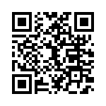 V24C3V3T75B3 QRCode