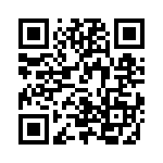 V28A5M175B3 QRCode