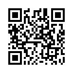 V28B5C75B QRCode