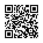 V28C24T100BG QRCode