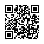 V28C24T100BS2 QRCode