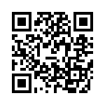 V300A24T400B QRCode