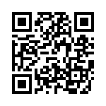 V300B28M250BG QRCode