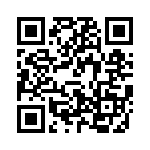 V300B36T250BG QRCode