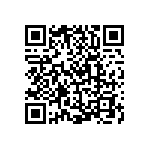 V300B3V3T100BF3 QRCode