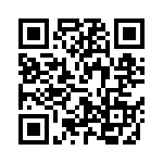 V300B3V3T100BS QRCode