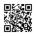 V40100P-E3-45 QRCode