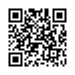 V95234G28-21S QRCode