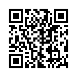 VE-2T2-IV-B1 QRCode