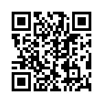 VE-BTP-IV-F4 QRCode