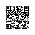 VG95234C1-20A9PSN QRCode