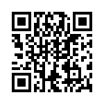 VG95234DH14S-1 QRCode