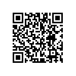 VG95234E1-20A48PX QRCode