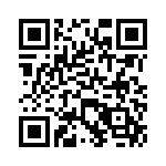 VG95234E1181SX QRCode