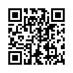 VG95234H2811PN QRCode