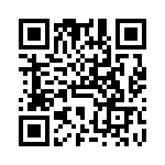 VG95234KK12 QRCode