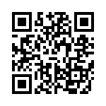 VI-20B-IX-F1 QRCode